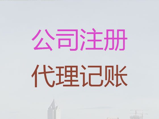 海南專業代記賬公司|代辦代理有限公司記賬/做賬